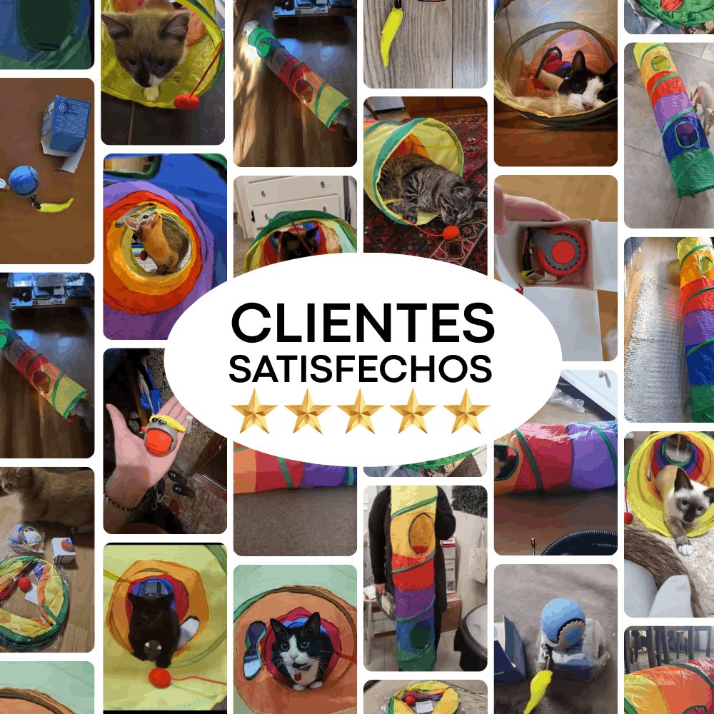 Túnel + Pelota Interactiva