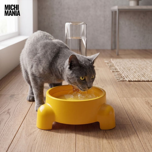 Bebedero Automático con Botella para Gatos