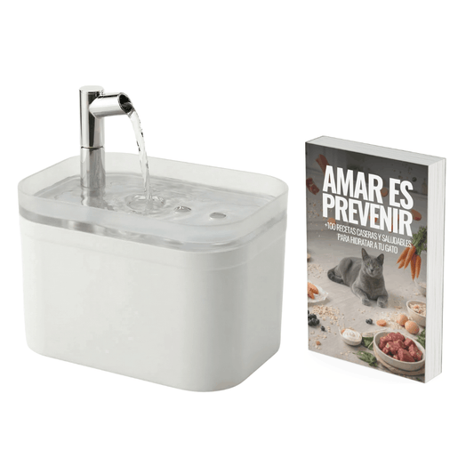 Fuente de Agua + Recetario + Guía