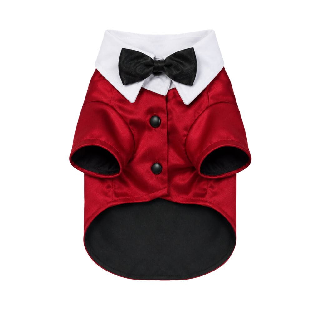 Traje Formal Tipo Esmoquin para Gatos