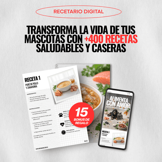 Recetario Digital "ALIMENTA CON AMOR"