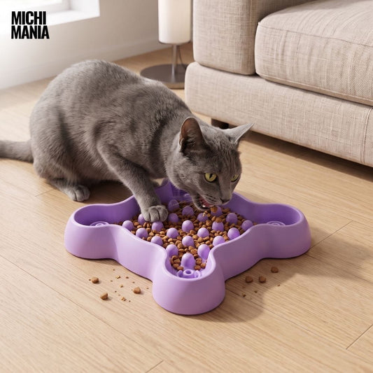 Comedero Lento Antirreflujo para Gatos