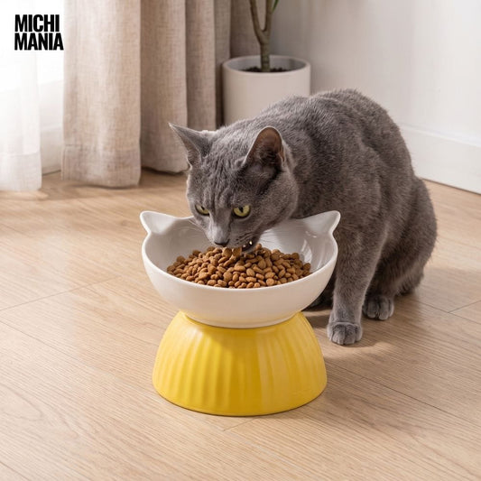 Comedero Elevado de Cerámica para Gatos