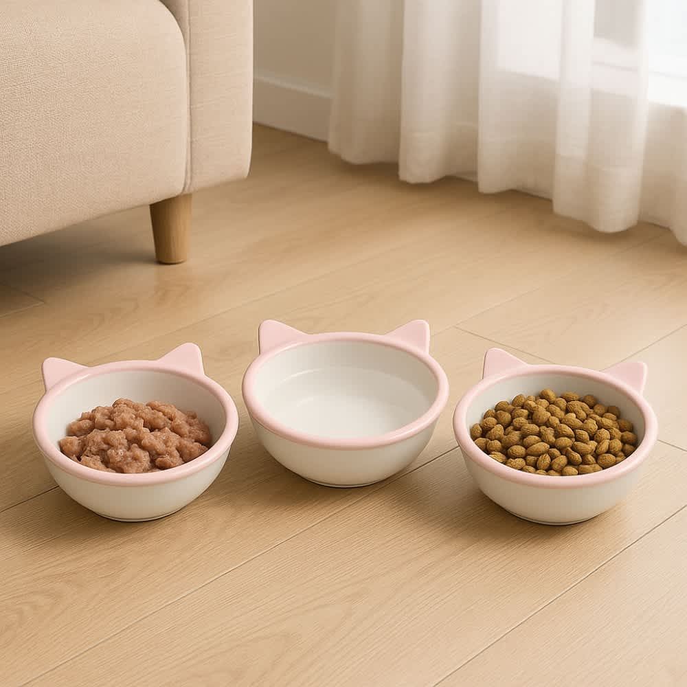 Plato de Ceramica para Gato