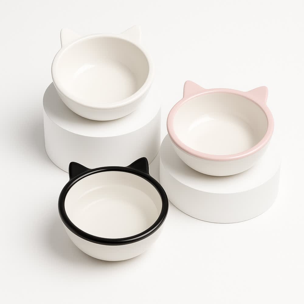 Plato de Ceramica para Gato