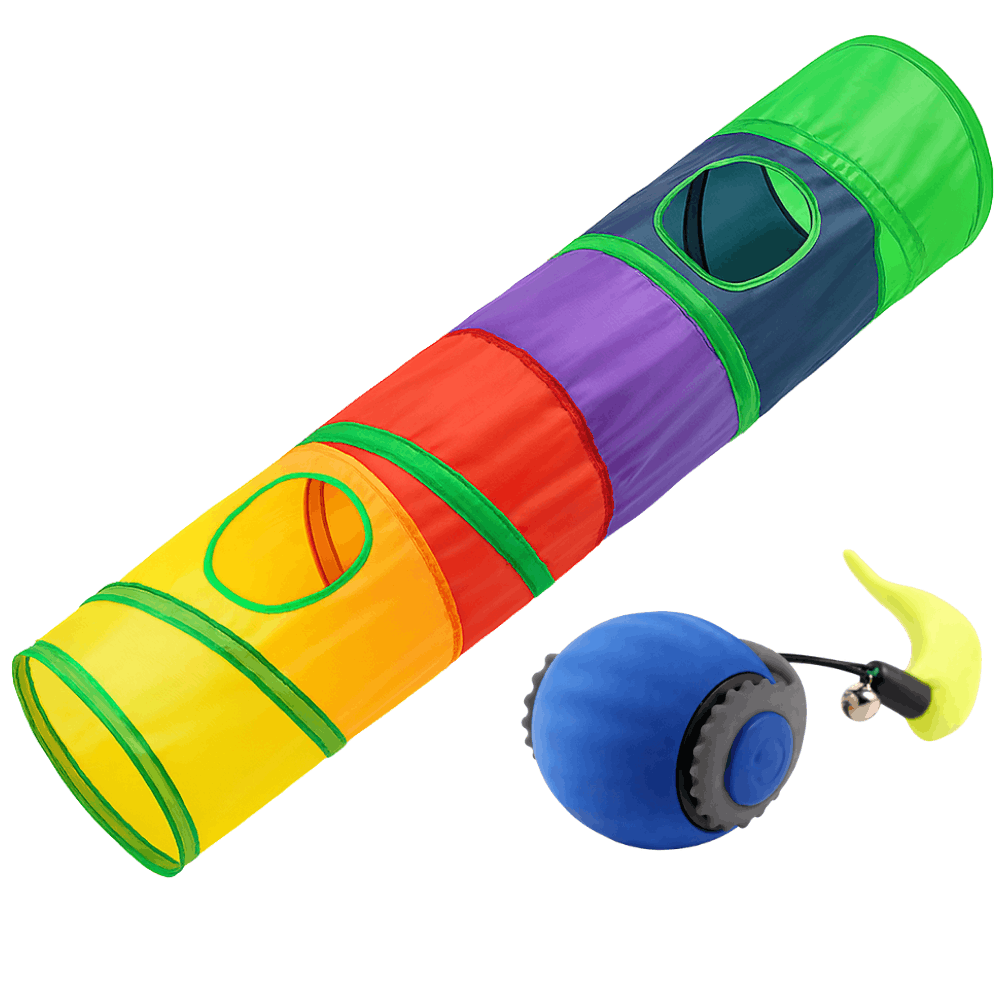 Túnel + Pelota Interactiva