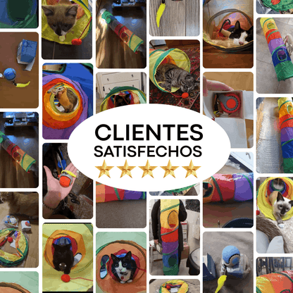 Túnel + Pelota Interactiva