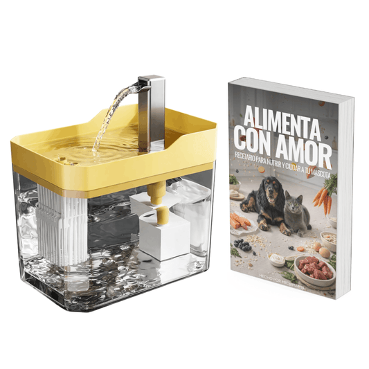 Fuente de Agua + Recetario Digital