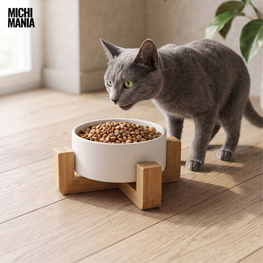 Comedero de Cerámica con Base de Bambú para Gatos