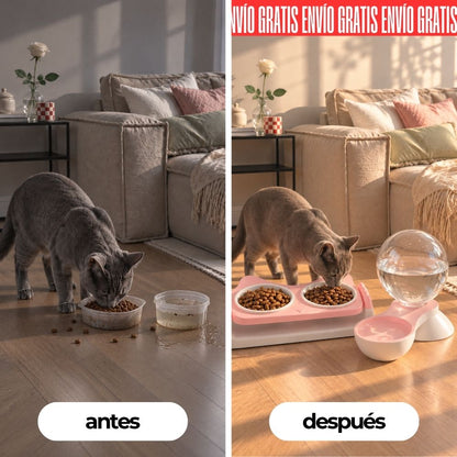 Combo Ritual: Comedero Elevado y Dispensador de Agua para Gatos
