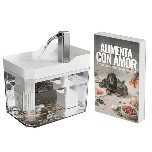 Fuente de Agua + Recetario Digital