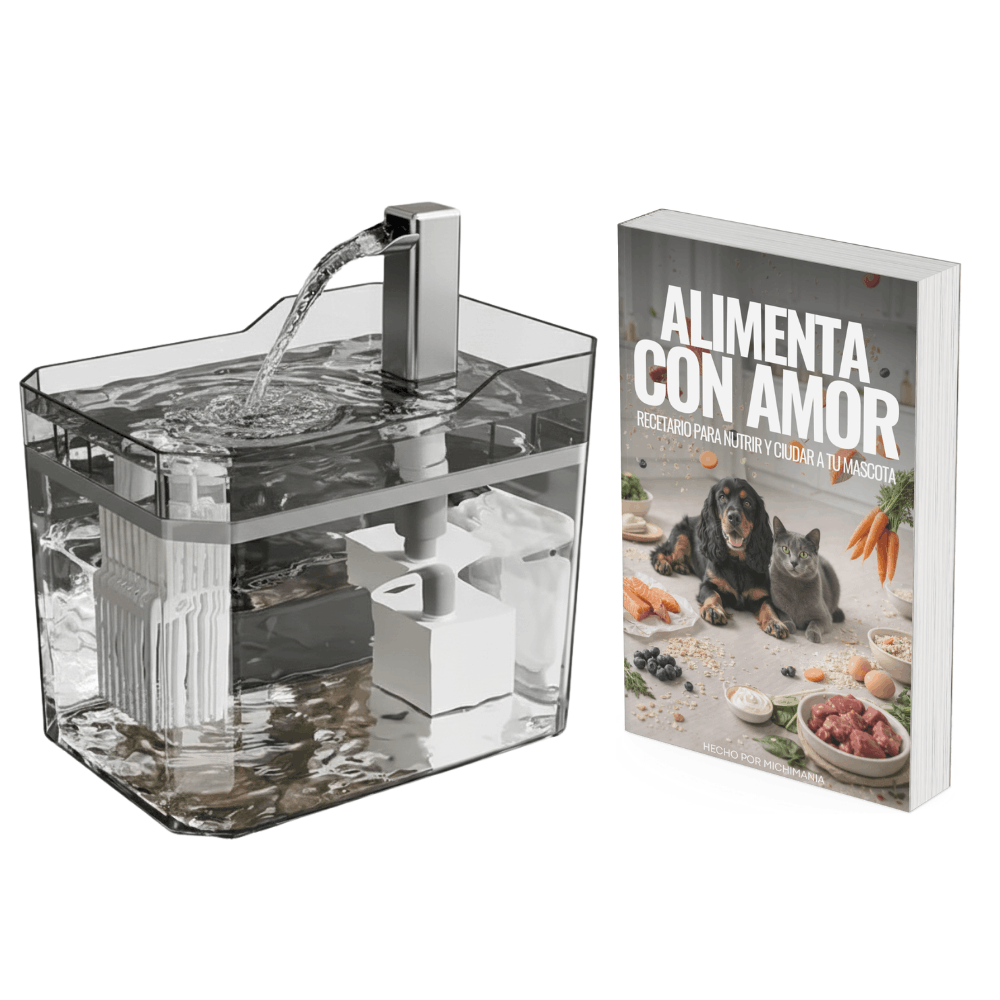 Fuente de Agua + Recetario Digital