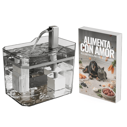 Fuente de Agua + Recetario Digital