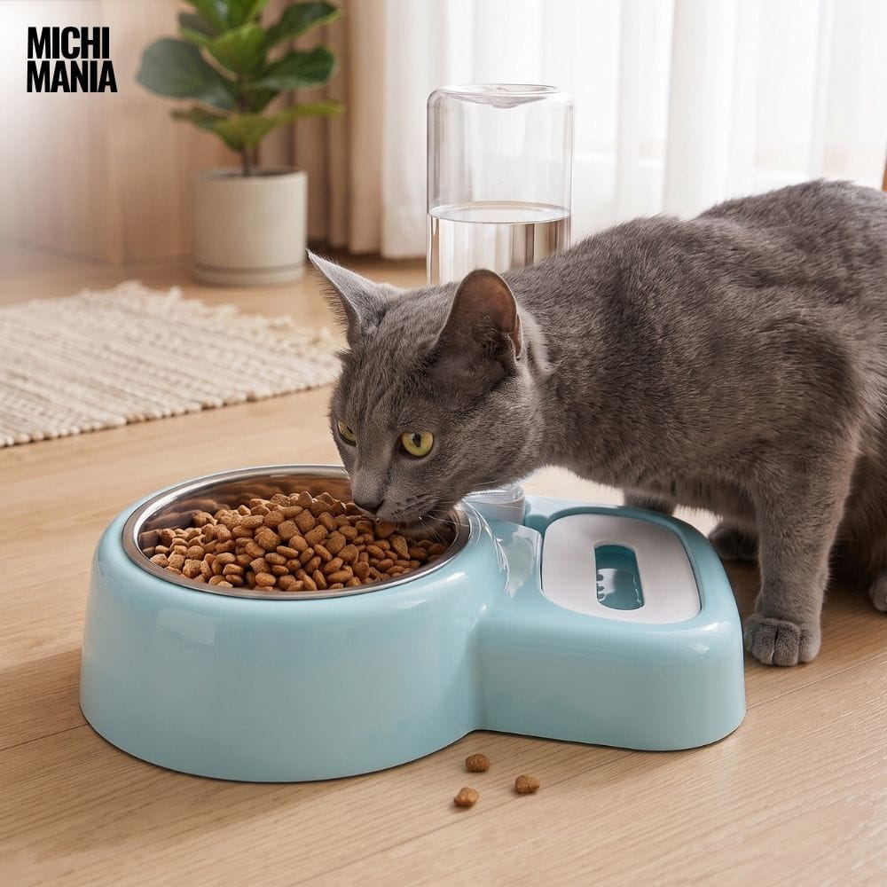 Comedero con Bebedero Automático para Gatos
