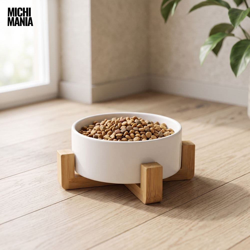 Comedero de Cerámica con Base de Bambú para Gatos