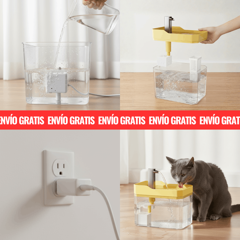 Fuente de Agua + Recetario Digital