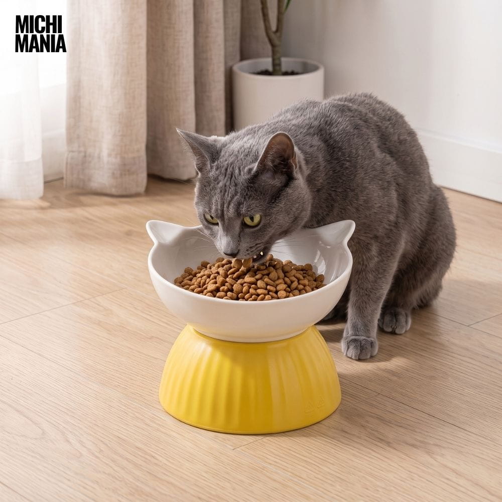 Comedero Elevado de Cerámica para Gatos