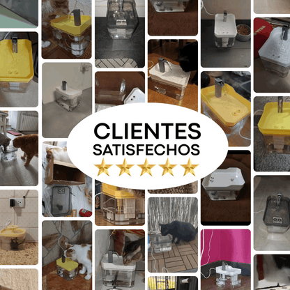 Fuente de Agua + Recetario Digital