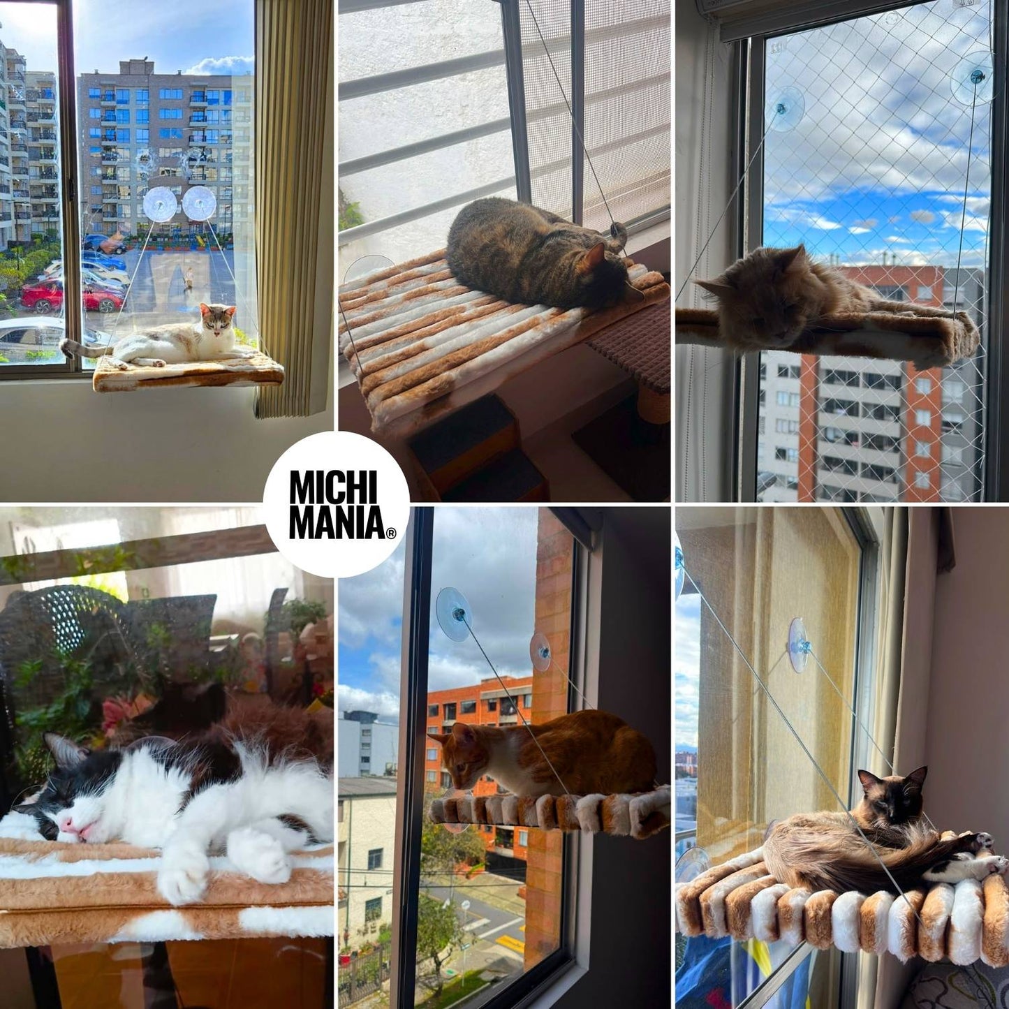 Clientes usando la hamaca premium para gatos MICHIMANIA