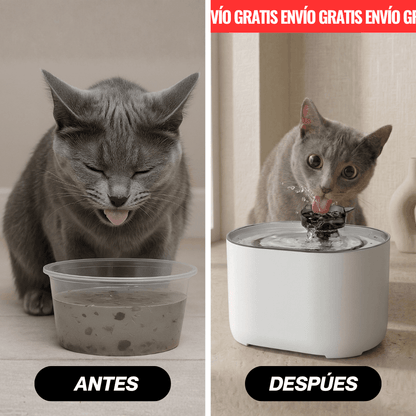 Fuente Inalámbrica + Recetario + Guía