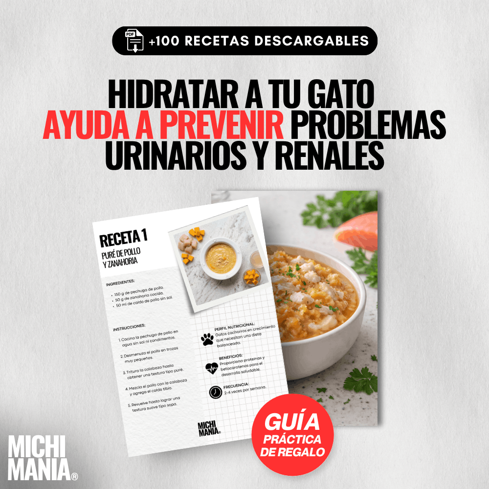 Fuente Inalámbrica + Recetario + Guía
