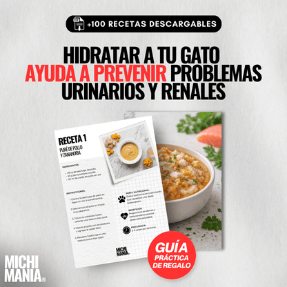 Fuente Inalámbrica + Recetario + Guía